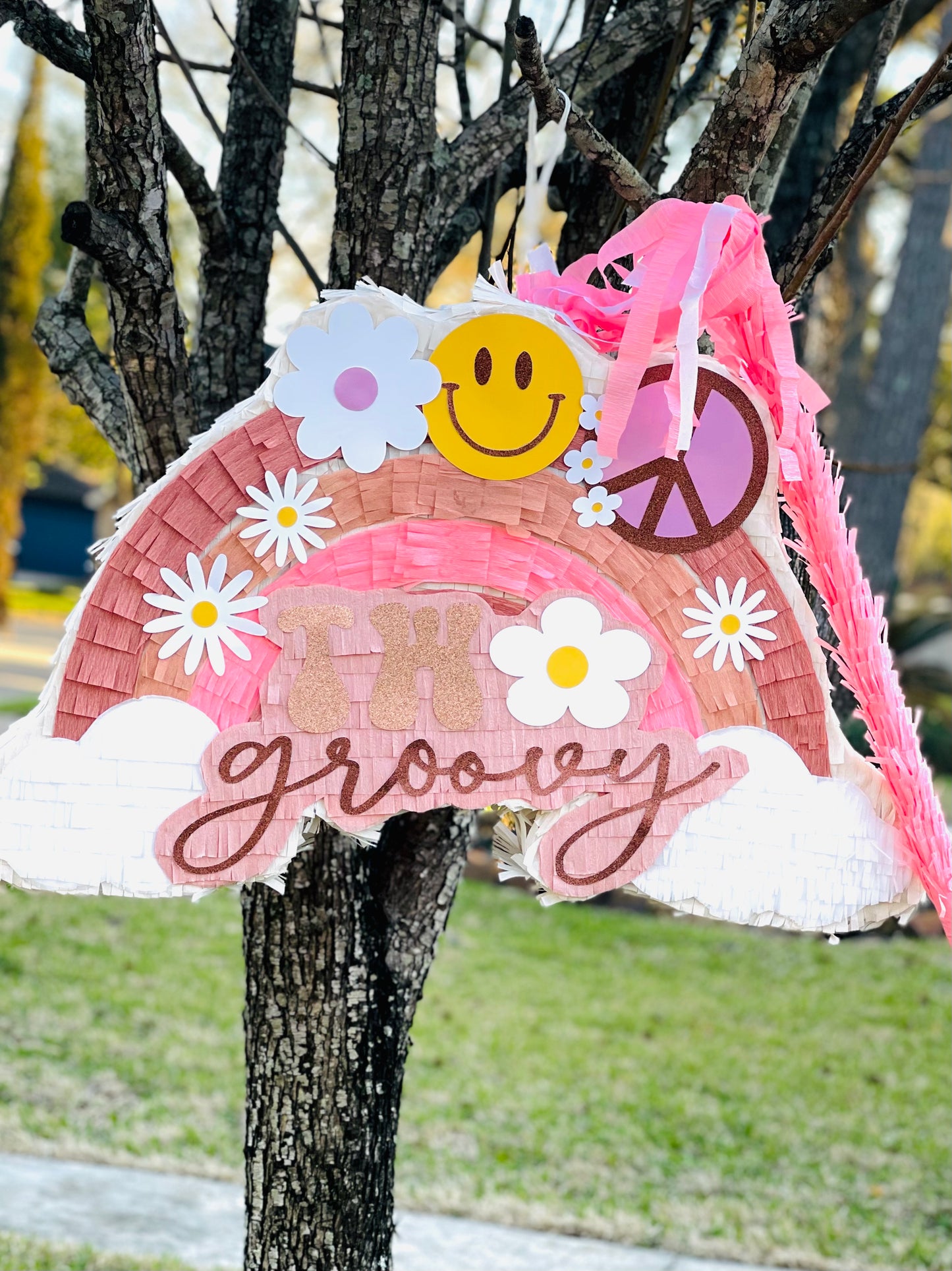 Two Groovy Rainbow Piñata