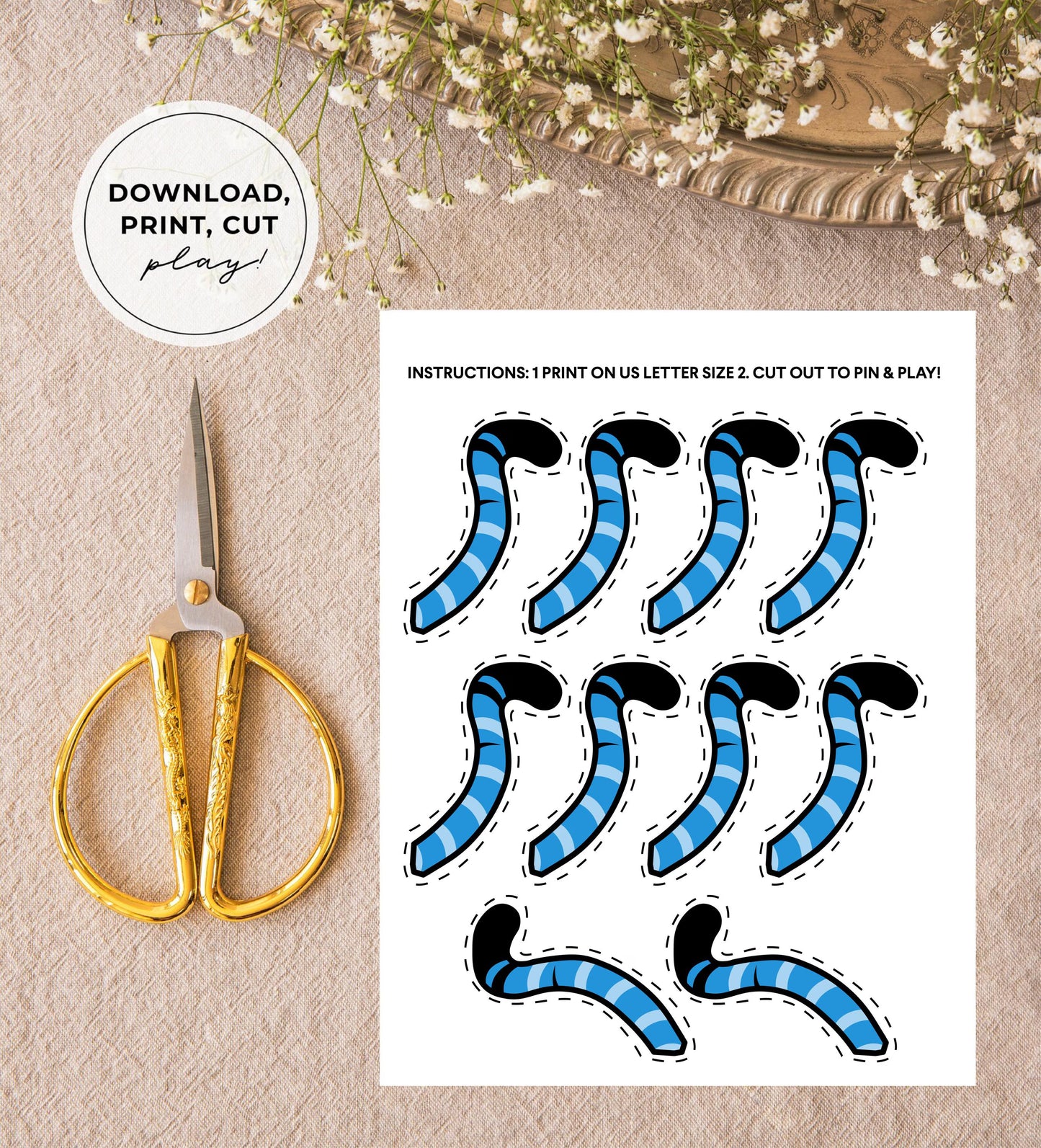 "Pin the Tail on Derpy" Printable Party Game | Digital Download Poster & Tails Sheet | K-Pop Fan Activity