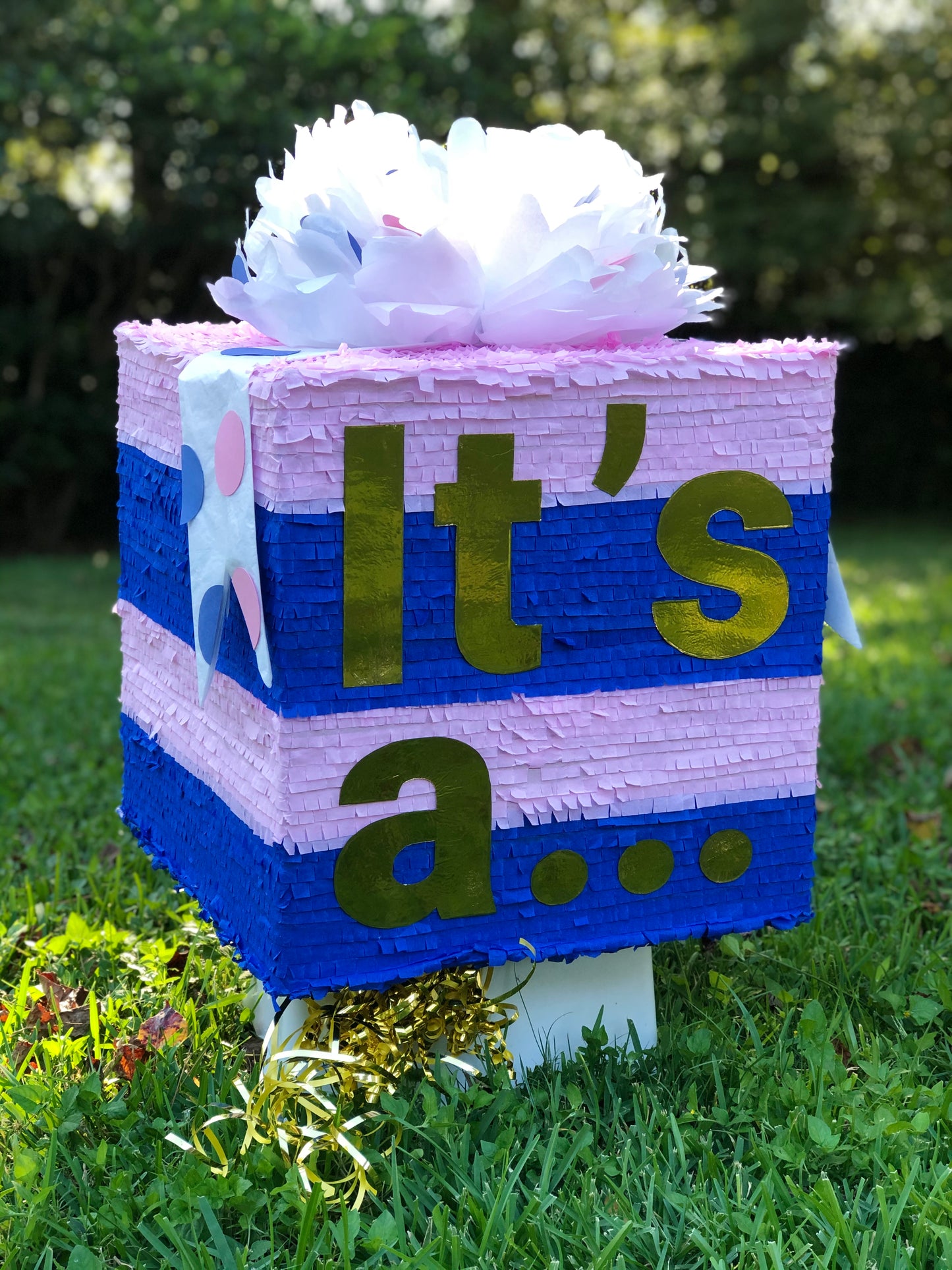 Gender Reveal Pull String Piñata