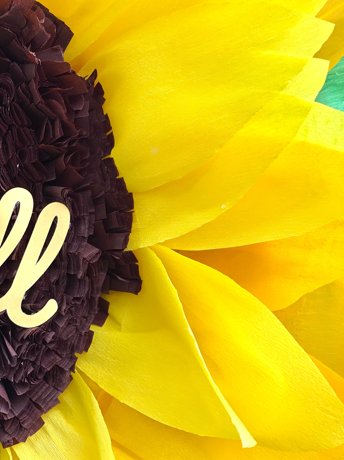 Sun Flower Gender Reveal Pull String Piñata