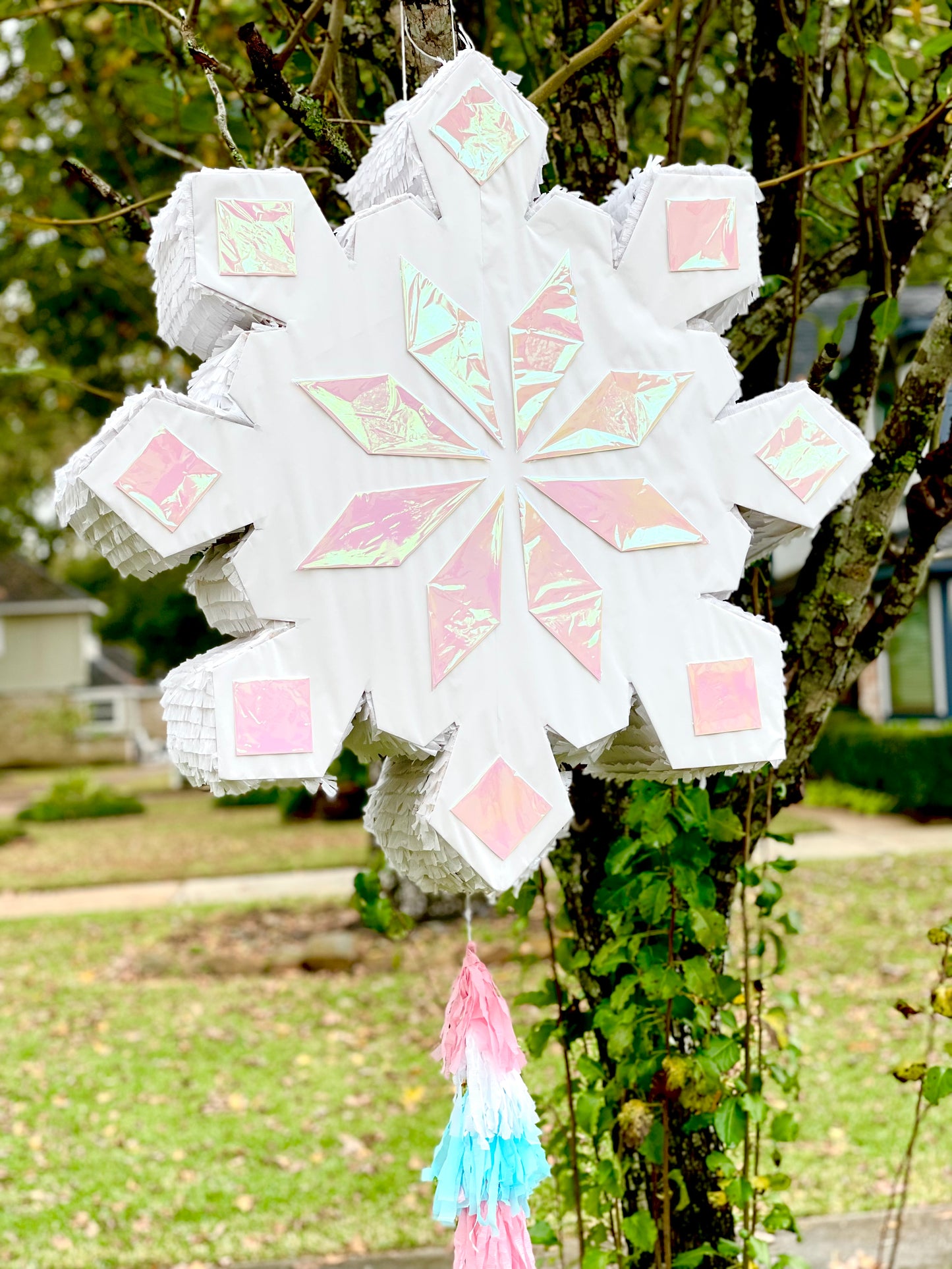Snowflake Gender Reveal Pull String Piñata