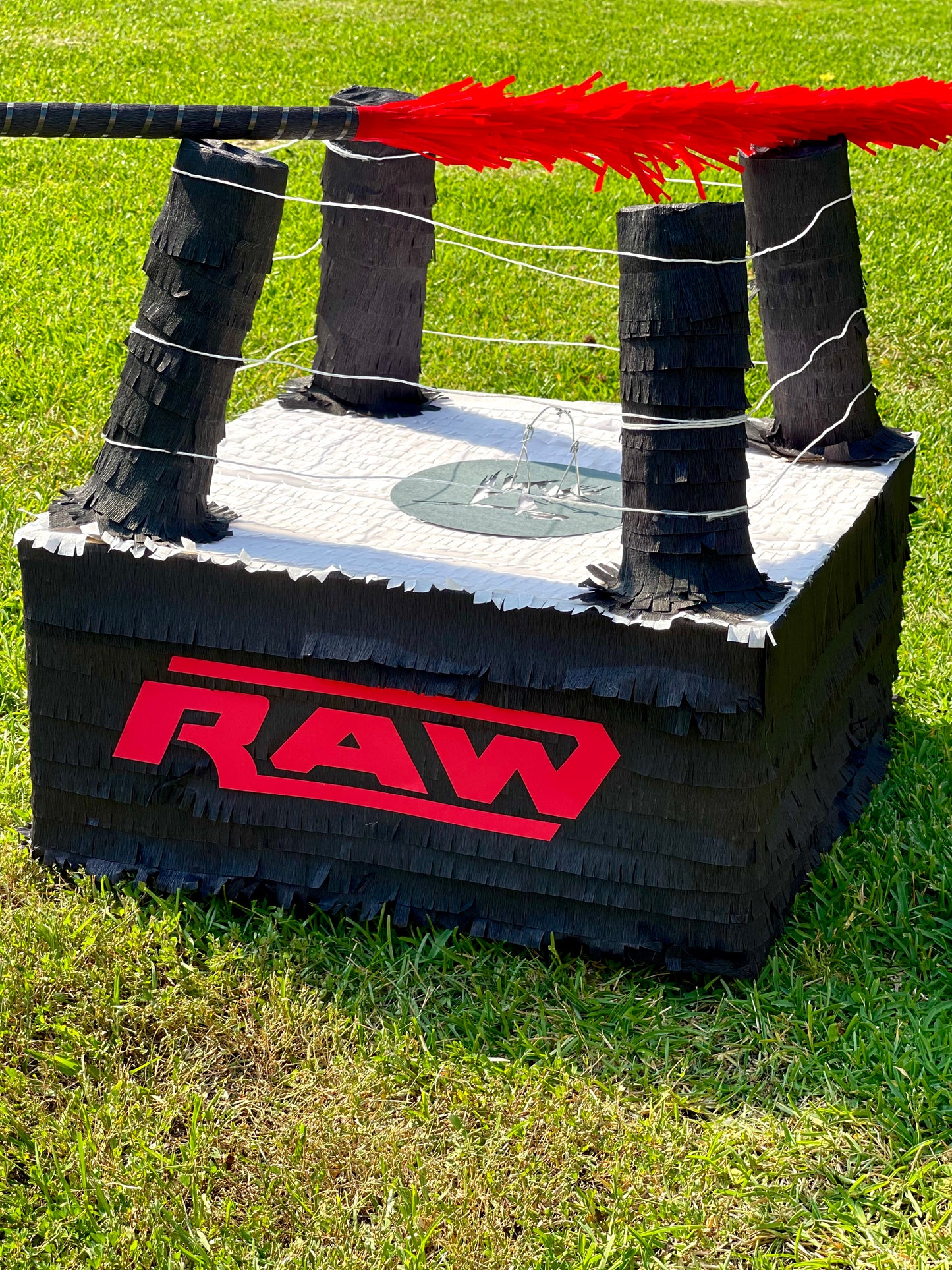 WWE Raw Ring Piñata