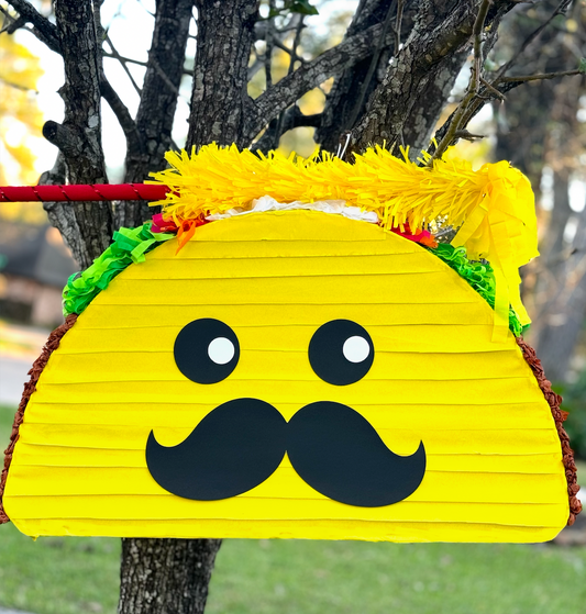 Taco Piñata