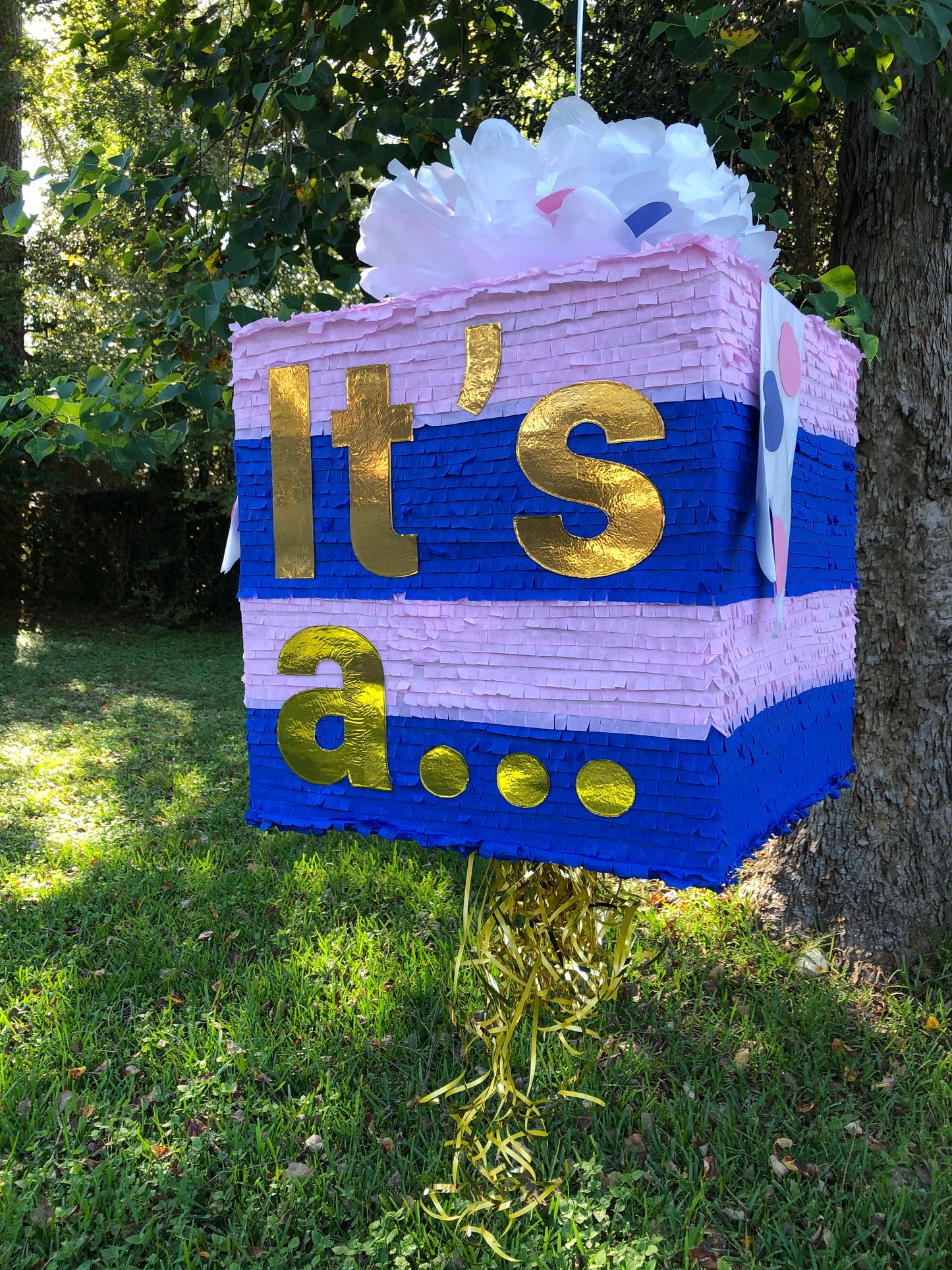 Gender Reveal Pull String Piñata