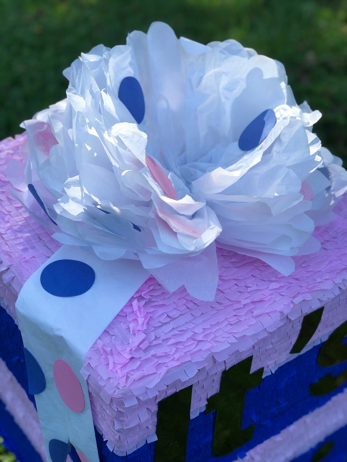 Gender Reveal Pull String Piñata